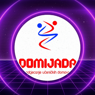 Domaši briljirali na Regionalnoj domijadi